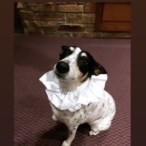 Meet your Posher, Jocelynn